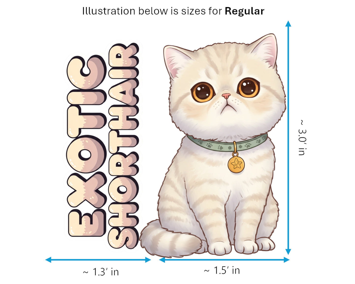 Exotic Shorthair Sticker and Magnet - Lazy Man's Persian Purrkins™ – Domestic Cat Breed | Waterproof & UV-Proof