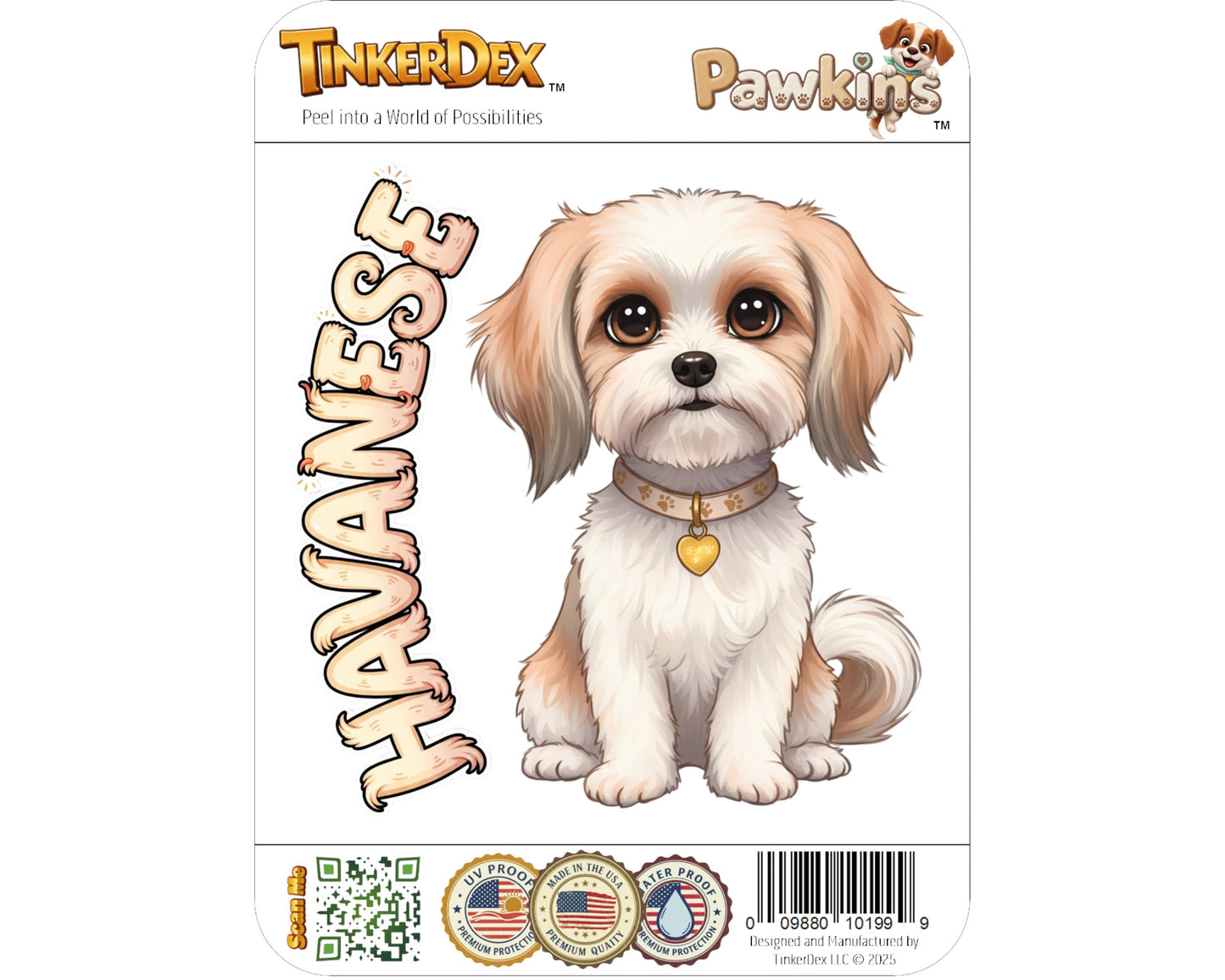 Havanese Sticker and Magnet - Cheerful Charmer Pawkins™ – Companion Dog Breed | Waterproof & UV-Proof