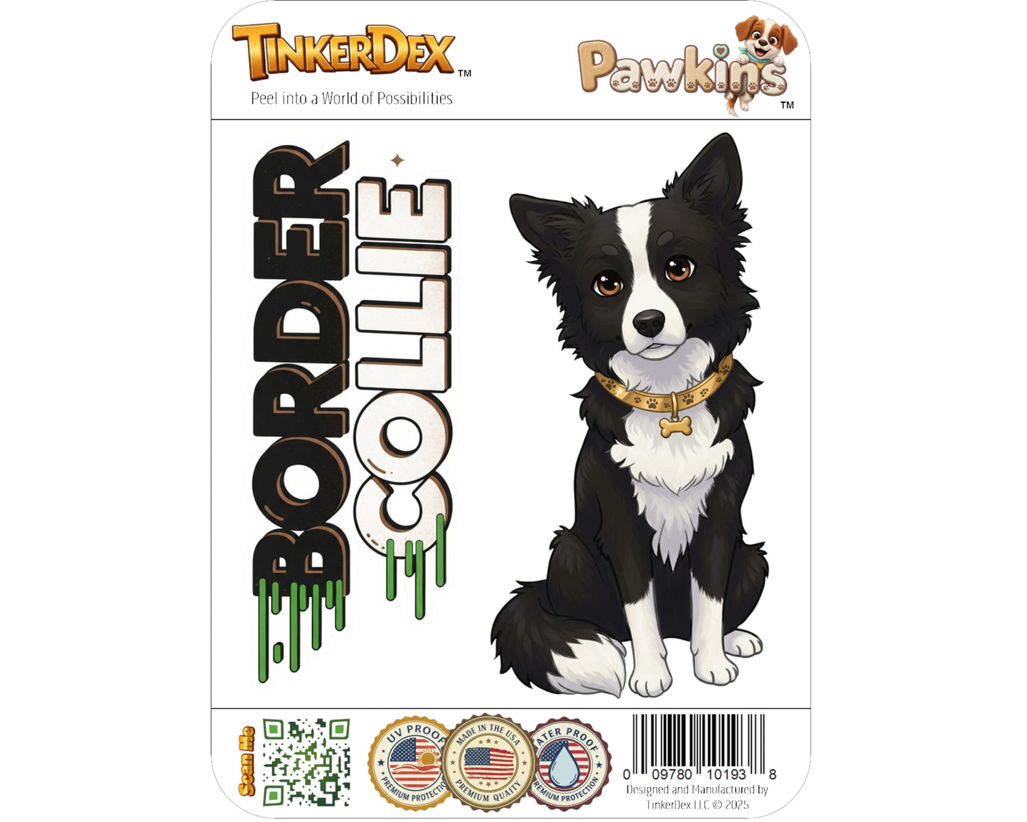 Border Collie Sticker and Magnet - Canine Einstein Pawkins™ – Herding Dog Breed | Waterproof & UV-Proof