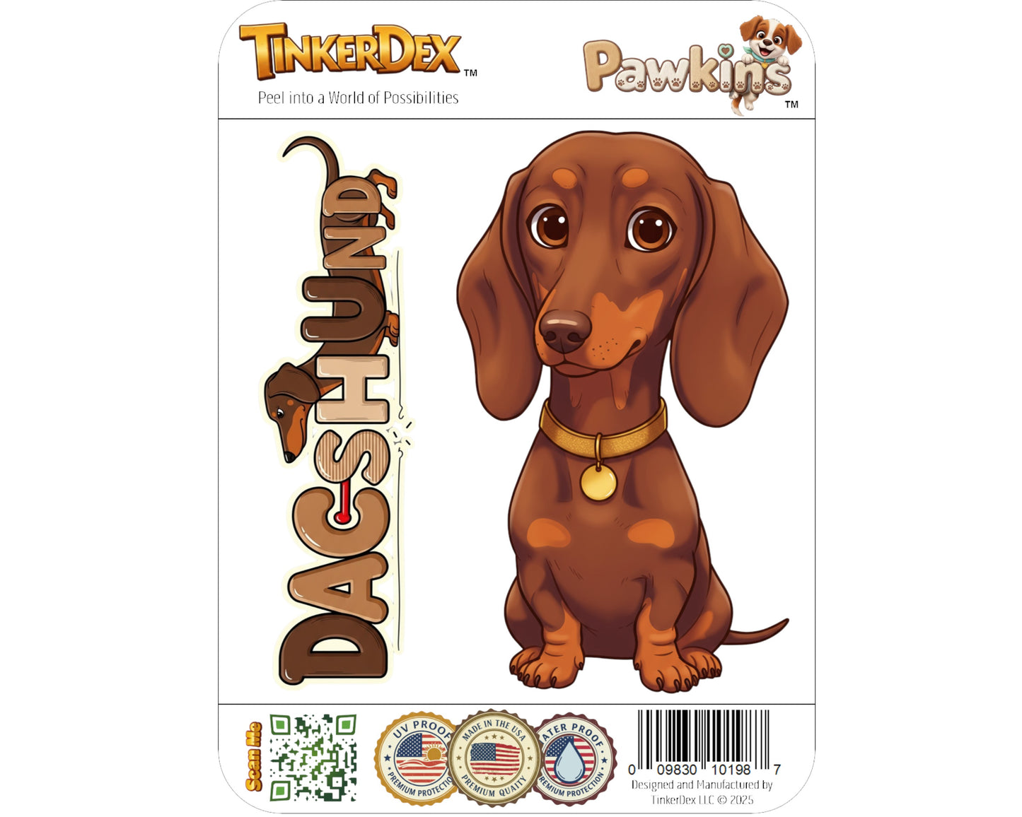 Dachshund Sticker and Magnet - the Wiener Dog Pawkins™ – Hound Dog Breed | Waterproof & UV-Proof