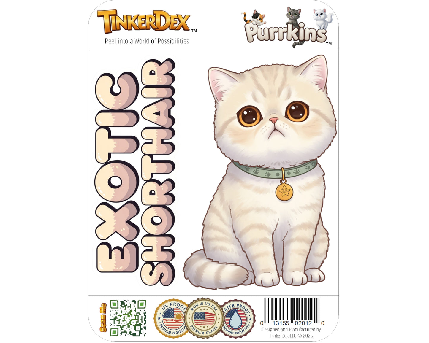 Exotic Shorthair Sticker and Magnet - Lazy Man's Persian Purrkins™ – Domestic Cat Breed | Waterproof & UV-Proof