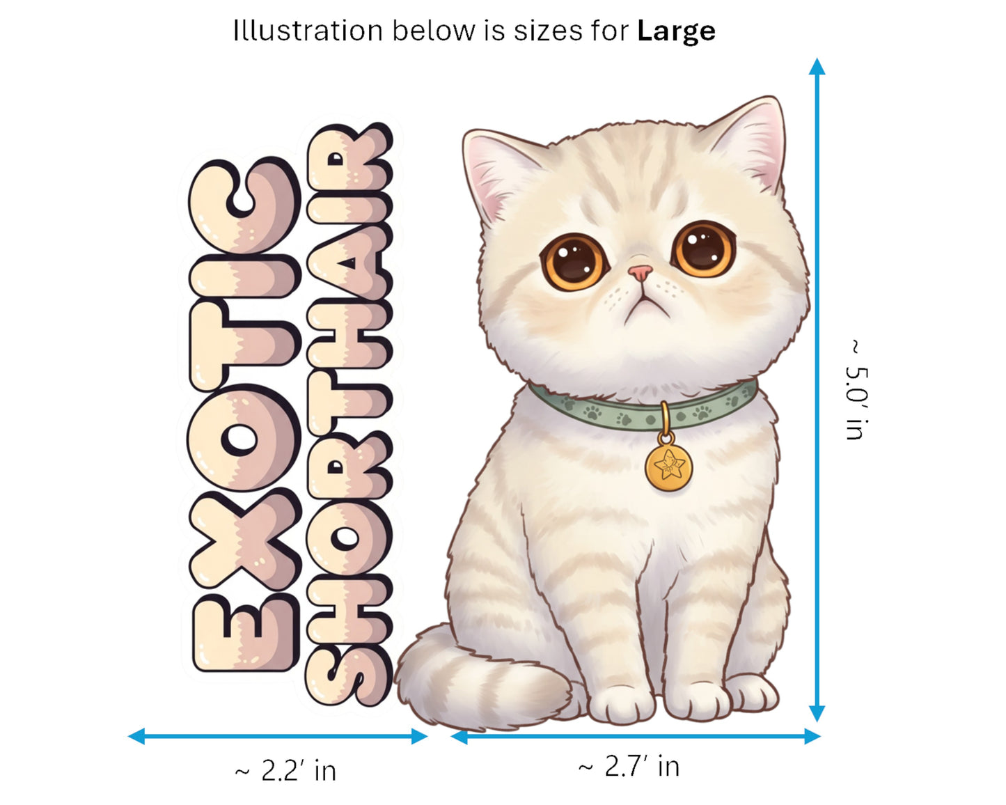 Exotic Shorthair Sticker and Magnet - Lazy Man's Persian Purrkins™ – Domestic Cat Breed | Waterproof & UV-Proof