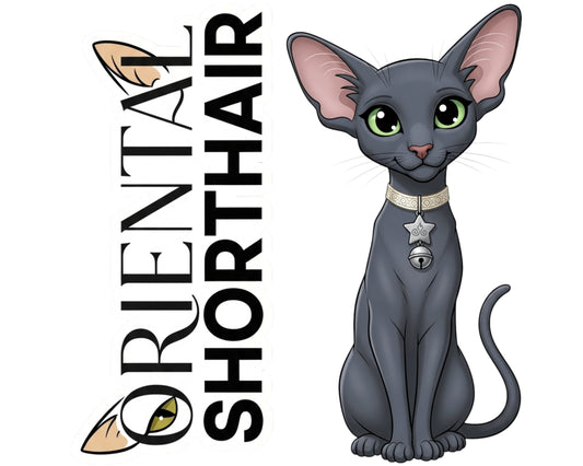 Oriental Shorthair Sticker and Magnet - Ornamental Ori Purrkins™ – Domestic Cat Breed | Waterproof & UV-Proof