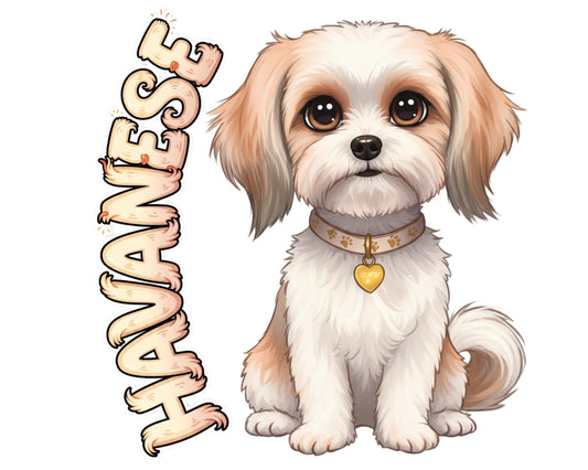 Havanese Sticker and Magnet - Cheerful Charmer Pawkins™ – Companion Dog Breed | Waterproof & UV-Proof