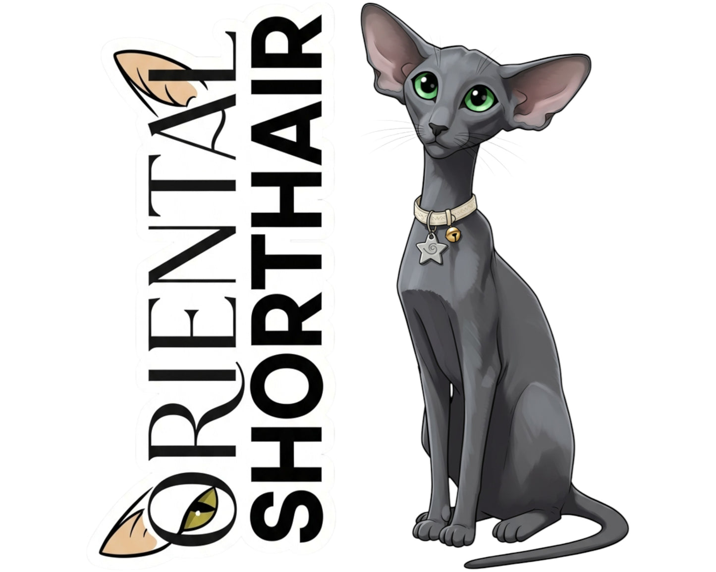 Oriental Shorthair Sticker and Magnet - Ornamental Ori Purrkins™ – Domestic Cat Breed | Waterproof & UV-Proof
