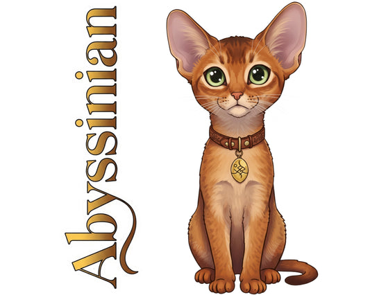 Abyssinian Sticker and Magnet - Cat of the Blue Nile Purrkins™ – Domestic Cat Breed | Waterproof & UV-Proof