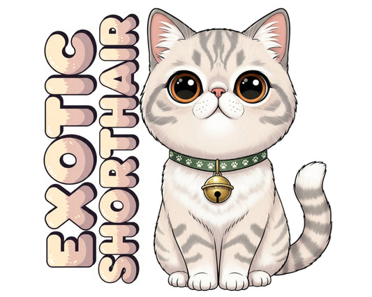 Exotic Shorthair Sticker and Magnet - Lazy Man's Persian Purrkins™ – Domestic Cat Breed | Waterproof & UV-Proof