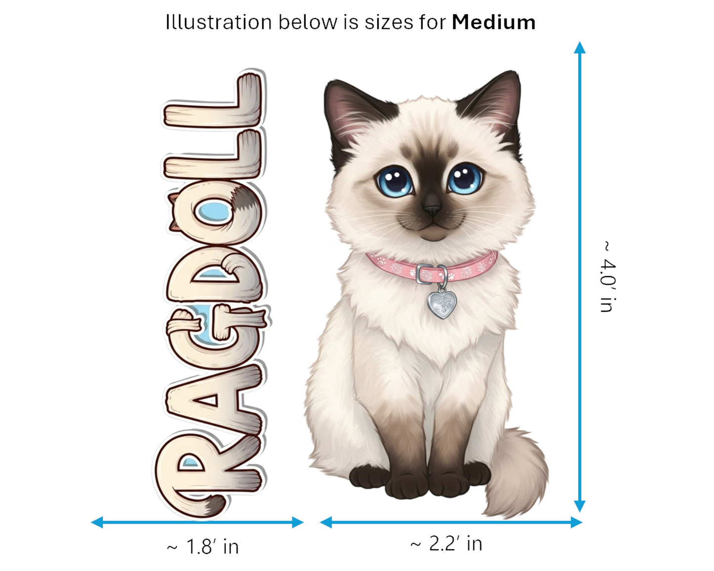 Ragdoll Sticker and Magnet - the Puppy-Cat Purrkins™ – Domestic Cat Breed | Waterproof & UV-Proof