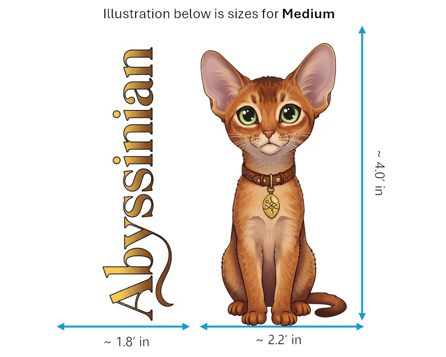 Abyssinian Sticker and Magnet - Cat of the Blue Nile Purrkins™ – Domestic Cat Breed | Waterproof & UV-Proof
