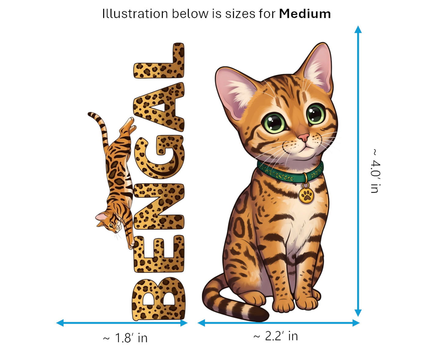 Bengal Magnet – the Little Leopard Purrkins™ – Domestic Cat Breed | UV-Proof