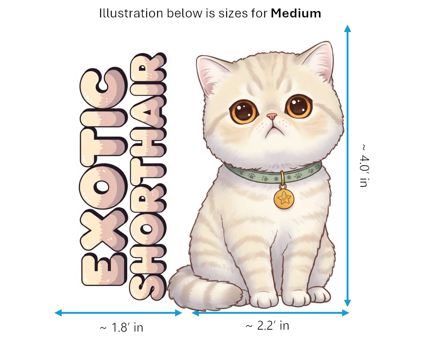 Exotic Shorthair Sticker and Magnet - Lazy Man's Persian Purrkins™ – Domestic Cat Breed | Waterproof & UV-Proof