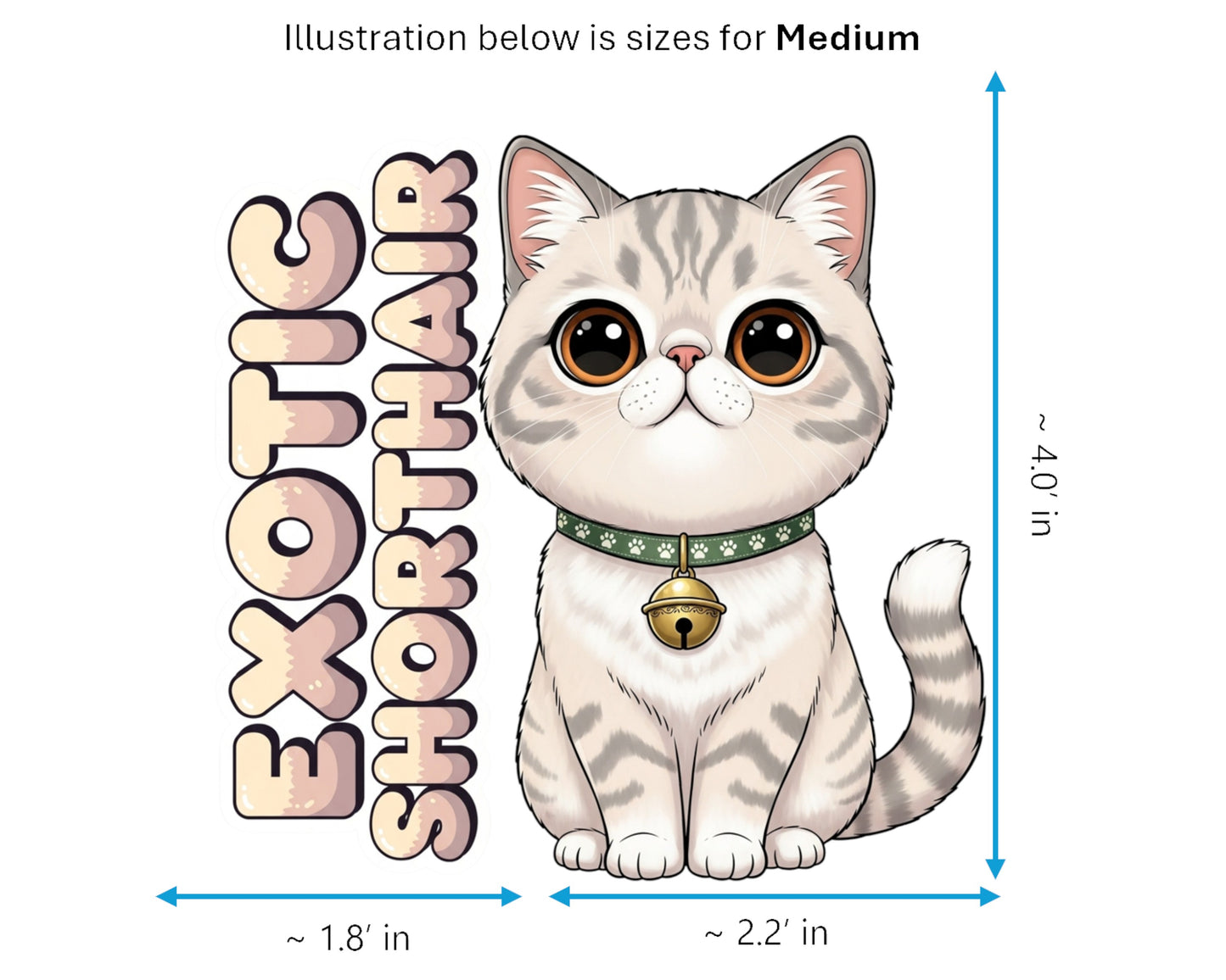 Exotic Shorthair Sticker and Magnet - Lazy Man's Persian Purrkins™ – Domestic Cat Breed | Waterproof & UV-Proof