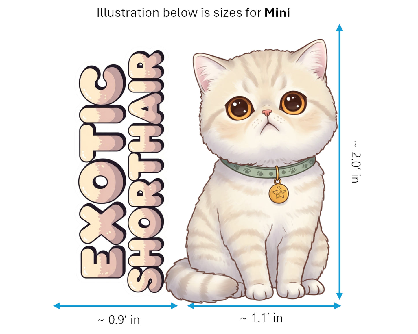 Exotic Shorthair Sticker and Magnet - Lazy Man's Persian Purrkins™ – Domestic Cat Breed | Waterproof & UV-Proof
