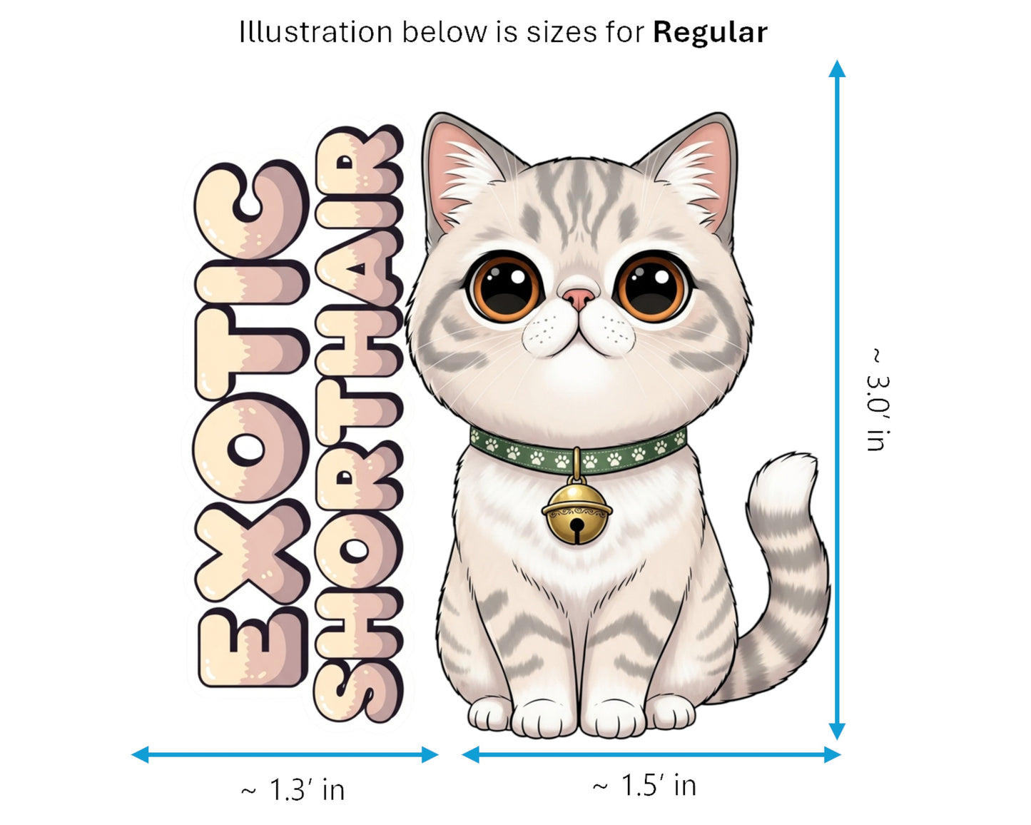 Exotic Shorthair Sticker and Magnet - Lazy Man's Persian Purrkins™ – Domestic Cat Breed | Waterproof & UV-Proof