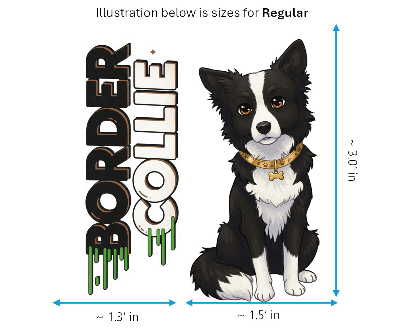 Border Collie Sticker and Magnet - Canine Einstein Pawkins™ – Herding Dog Breed | Waterproof & UV-Proof