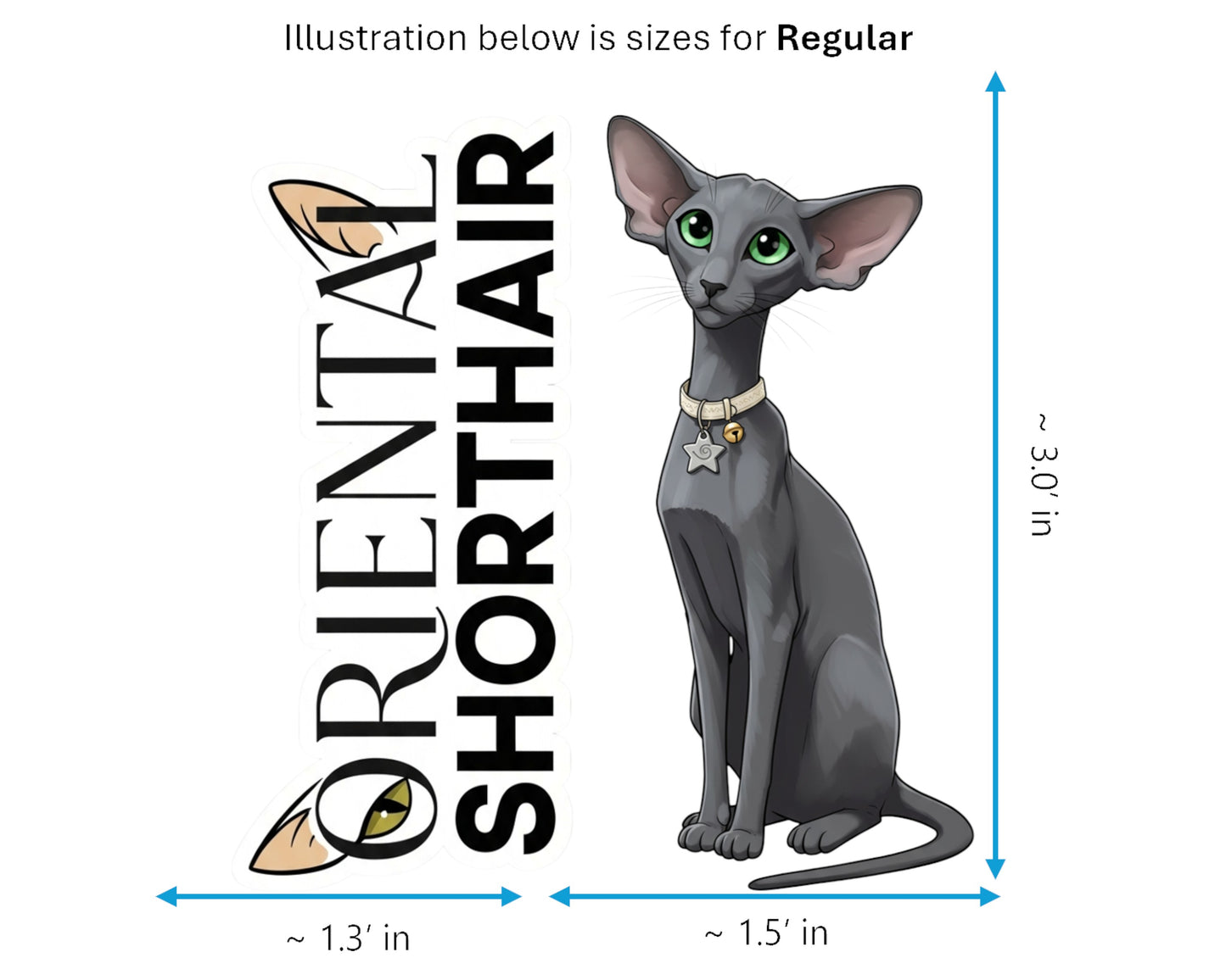 Oriental Shorthair Sticker and Magnet - Ornamental Ori Purrkins™ – Domestic Cat Breed | Waterproof & UV-Proof
